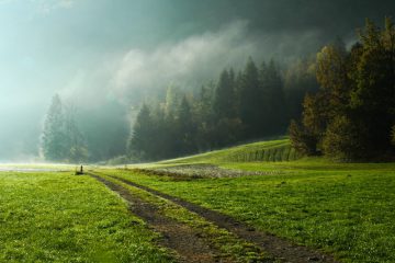Zaključen je Lions foto natečaj LCI za okoljsko fotografijo 2014-2015