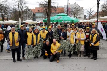 Oljčna vejica 22